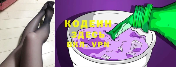 индика Бугульма